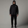 Vyriška striukė 3in1 The North Face Evolve II Triclimate black 2