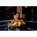 Bokso pirštinės Fairtex Universal "Tight-Fit" Design Falcon gold 2