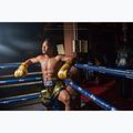 Bokso pirštinės Fairtex Universal "Tight-Fit" Design Falcon gold 3