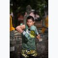 Bokso pirštinės Fairtex F-DAY Limited Edition pickle 5