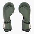 Bokso pirštinės Fairtex F-DAY Limited Edition pickle 4