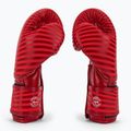 Bokso pirštinės Fairtex Microfiber Art Collections Minimalism Art red 4