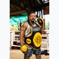 "Fairtex Speed & Accuracy Focus Mitts" juodos/auksinės treniruočių letenos 6