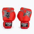 Bokso pirštinės YOKKAO Institution Boxing red 2