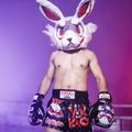 Vyriški treniruočių šortai YOKKAO Angry Rabbit Muay Thai black 6