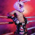 Vyriški treniruočių šortai YOKKAO Angry Rabbit Muay Thai black 7