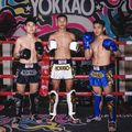 Vyriški treniruočių šortai YOKKAO Original Muay Thai black 6