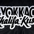 Vyriški treniruočių šortai YOKKAO Khalifa Kush Muay Thai black 4