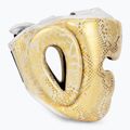 Bokso šalmas Top King Super Star white/gold 2