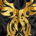 Vyriški treniruočių šortai Top King Kickboxing 4