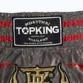 Žygio šortai Top King Kickboxing grey 3