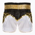Treniruočių šortai Top King Kickboxing multicolor 2