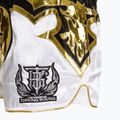 Treniruočių šortai Top King Kickboxing multicolor 4