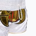 Treniruočių šortai Top King Kickboxing multicolor 5