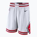 Vyriški krepšinio šortai Nike Chicago Bulls Association Edition white/university red/black