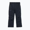 Vyrų snieglenčių kelnės Volcom L Gore-Tex Pant Black 10