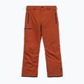 Vyrų snieglenčių kelnės Volcom L Gore-Tex Pant Burnt Orange 10