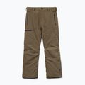 Vyrų snieglenčių kelnės Volcom L Gore-Tex Pant Teak 9
