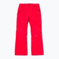 Moteriškos snieglenčių kelnės Volcom Kanyon Insulated Gore Pant bright cherry 9