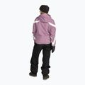 Moteriškos snieglenčių kelnės Volcom Crestron 3D Stretch Bib Overall black 5