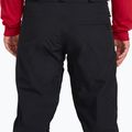 Vyriškos Volcom L Gore Tex snieglenčių kelnės juodos G1351904-BLK 5