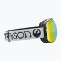 DRAGON X2 classic pilki/lumalens gold ion/amber slidinėjimo akiniai 8