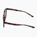 Akiniai nuo saulės Nike Vital Trend tortoise/brown gradient 4