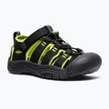 Vaikiškos basutės KEEN Newport H2 black/lime green