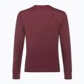 Vyriškas džemperis Atomic Alps Sweatshirt kaštoninės spalvos 4