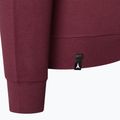 Vyriškas džemperis Atomic Alps Sweatshirt kaštoninės spalvos 6
