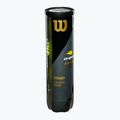 Teniso kamuoliukai Wilson US Open XD 4 vnt. yellow 3