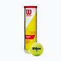 Wilson Champ Xd Tball teniso kamuoliukai 4 vnt. geltoni WRT110000