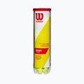 Wilson Champ Xd Tball teniso kamuoliukai 4 vnt. geltoni WRT110000 2