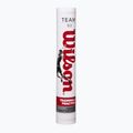 Badmintono plunksniukai Wilson Team 12 vnt. white