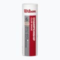Badmintono plunksniukai Wilson Championship 6 vnt. white 2