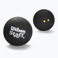 Skvošo kamuoliai Wilson Staff Ball Double Yellow Dot 3 vnt. black