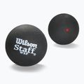 Skvošo kamuoliai Wilson Staff Ball Red Dot 3 vnt. black