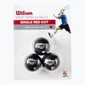 Skvošo kamuoliai Wilson Staff Ball Red Dot 3 vnt. black 2