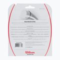 Wilson Revolve 17 teniso stygos 12,2 m juodos spalvos WRZ946900+ 2