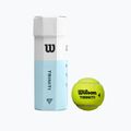 Wilson Triniti TBall teniso kamuoliukai 3 vnt. geltoni WRT125200+
