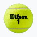 Wilson Roland Garros All Ct teniso kamuoliukai 3 vnt. geltoni WRT126400 2