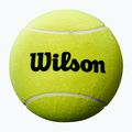 Teniso kamuolys autografams Wilson Roland Garros Jumbo 9" yellow