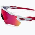 Oakley Radar EV Path poliruoti balti/prizm kelio dviračių akiniai 0OO9208 3