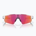 Akiniai nuo saulės Oakley Radar EV Pitch polished white/Prizm Field 2