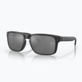 Akiniai nuo saulės Oakley Holbrook matte black/prizm black polarized 2