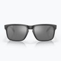 Akiniai nuo saulės Oakley Holbrook matte black/prizm black polarized 3