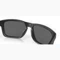 Akiniai nuo saulės Oakley Holbrook matte black/prizm black polarized 7