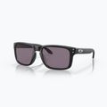 Akiniai nuo saulės Oakley Holbrook matte black/prizm grey