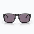 Akiniai nuo saulės Oakley Holbrook matte black/prizm grey 2