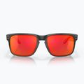 Akiniai nuo saulės Oakley Holbrook matte black/prizm ruby 2
